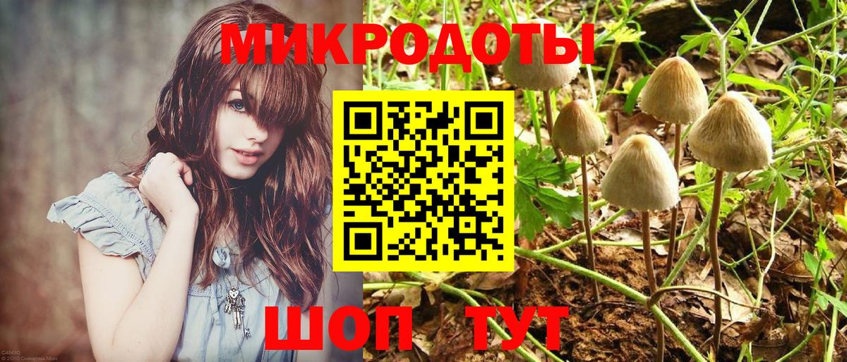 Киров  где купить наркотик  Вход с VPN  Галлюциногенные грибы Cubensis 